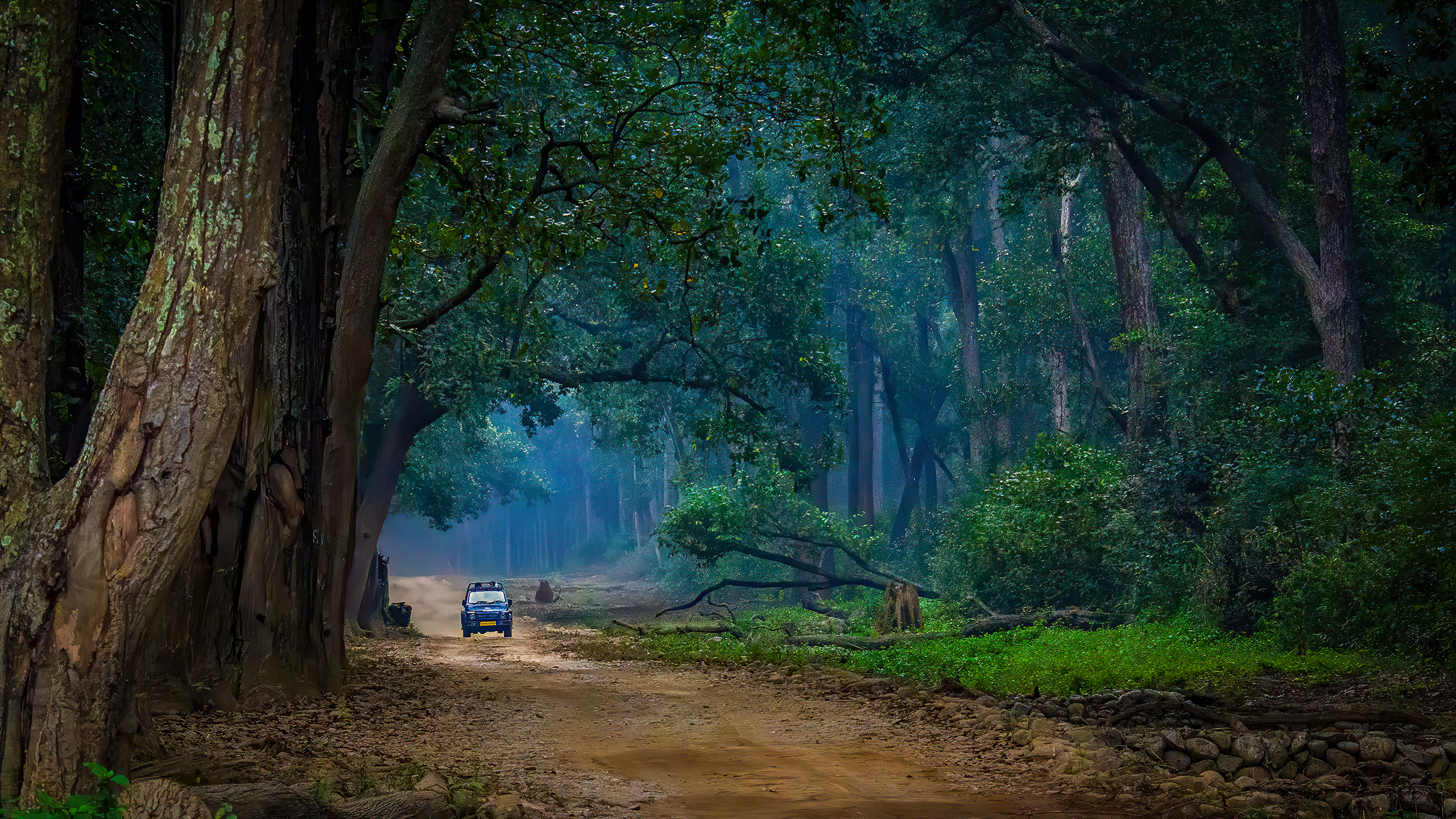 JIMCORBETT